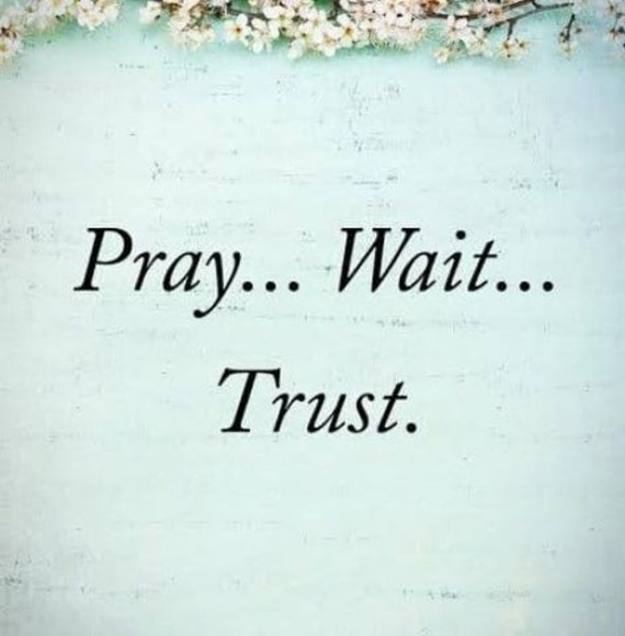 Meet your Posher, Arnell - Picture 1 of 1